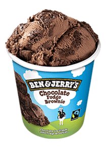 Chocolate Fudge Brownie