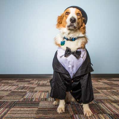 Max the Gentleman