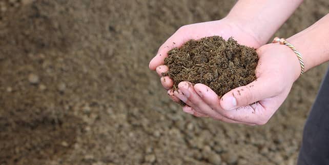 manure4.jpg