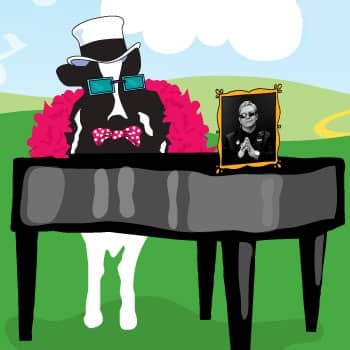 elton.jpg