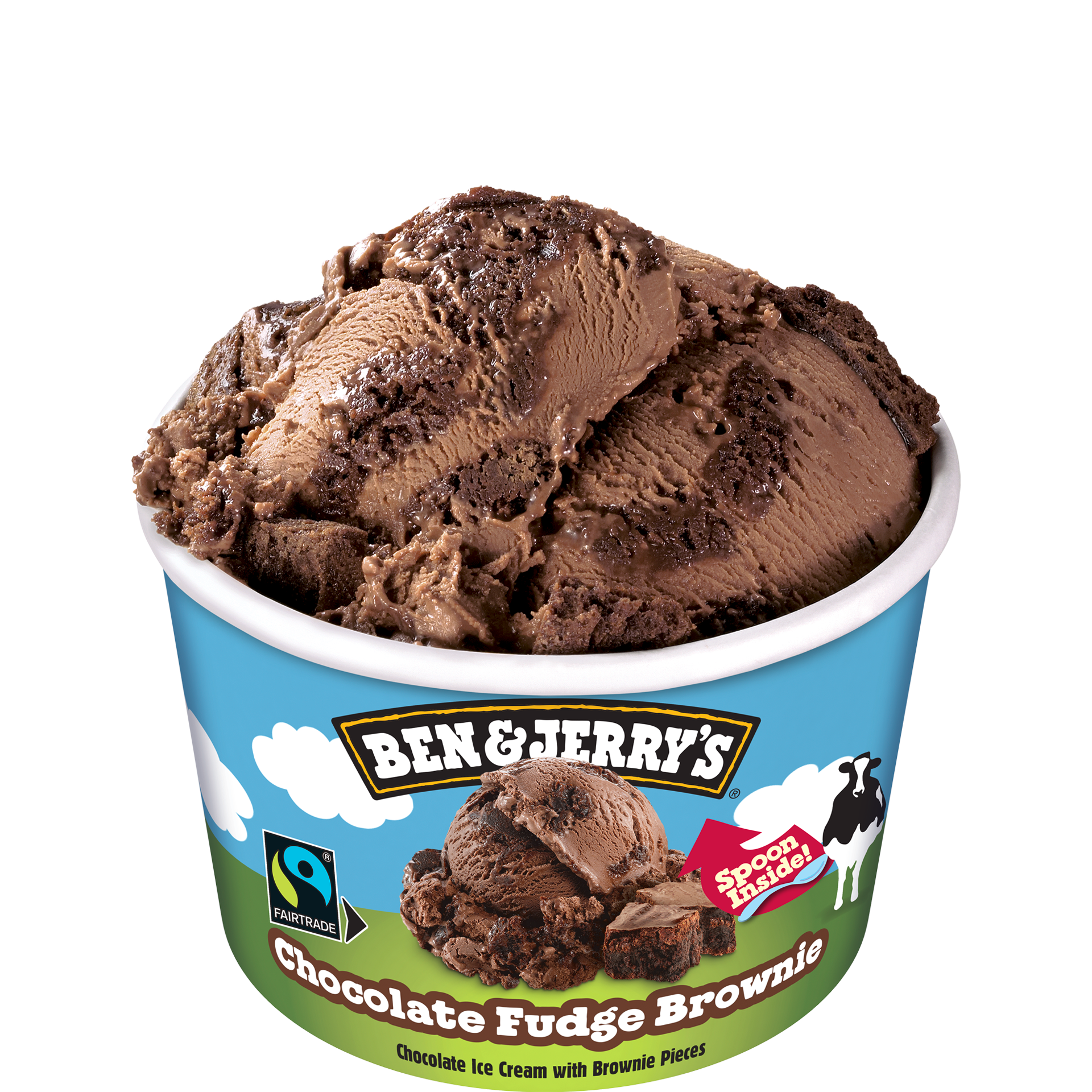 Chocolate Fudge Brownie Ice Cream - Mini Cup