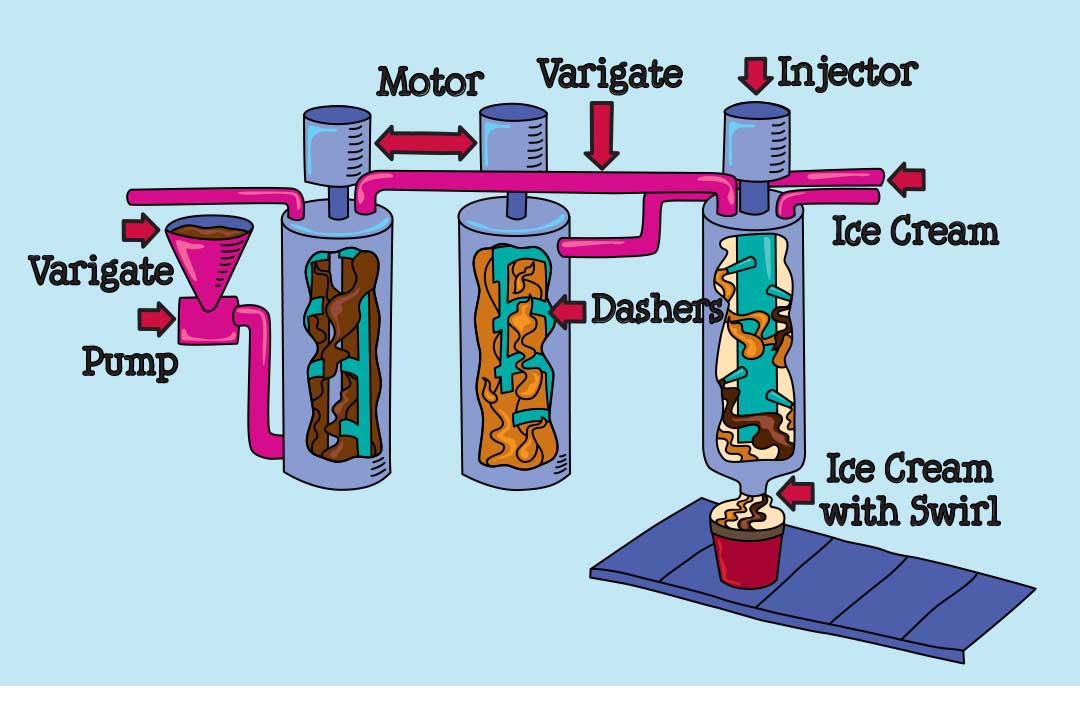 Illustrated diagram of variegator
