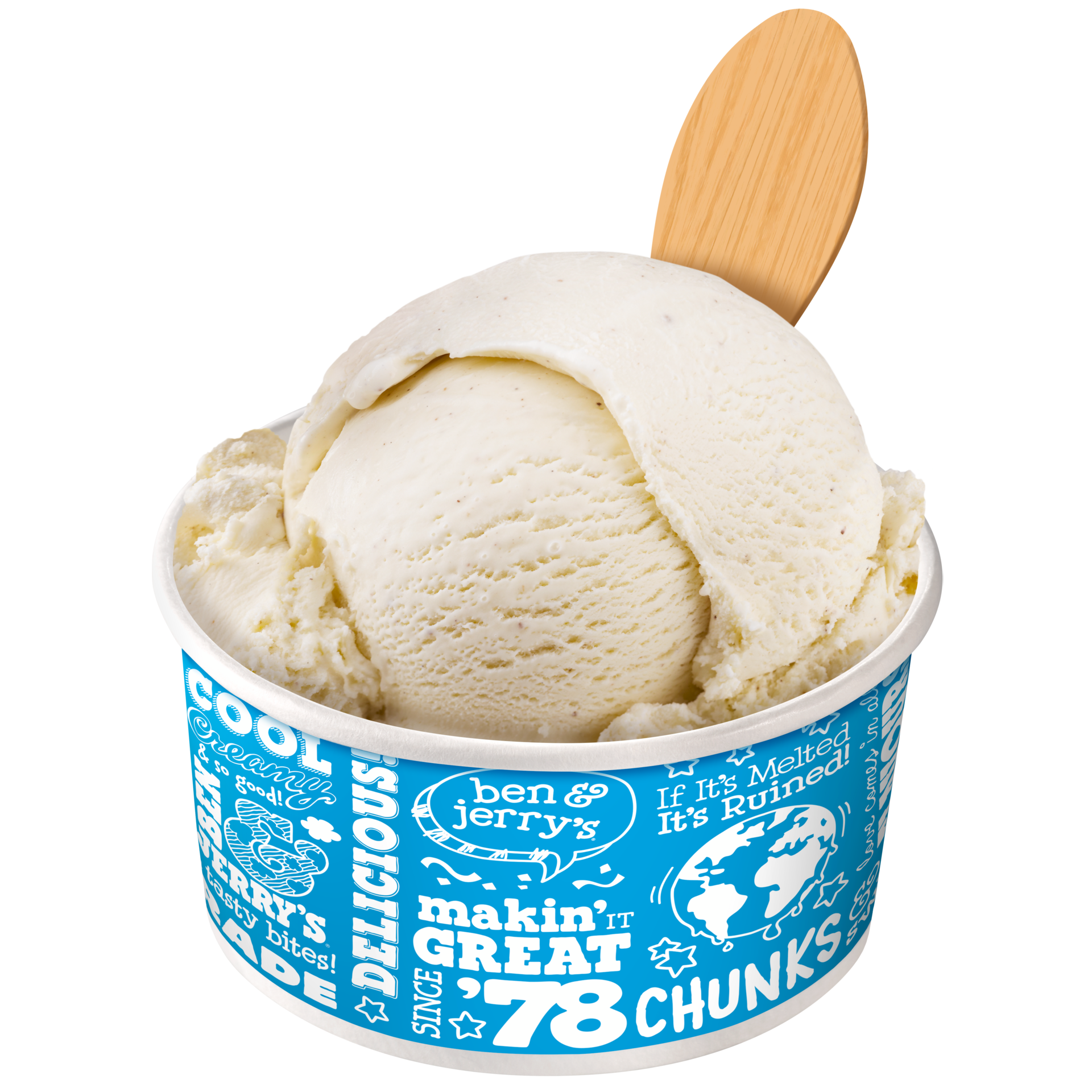 Vanilla Ice Cream - Bulk